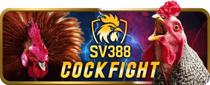 Chương trình VIP tr88